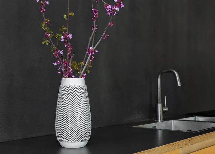 Fytron House Apartment *